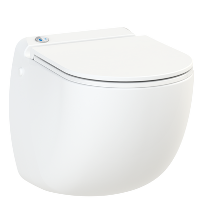 Sani-Wand macerating toilet