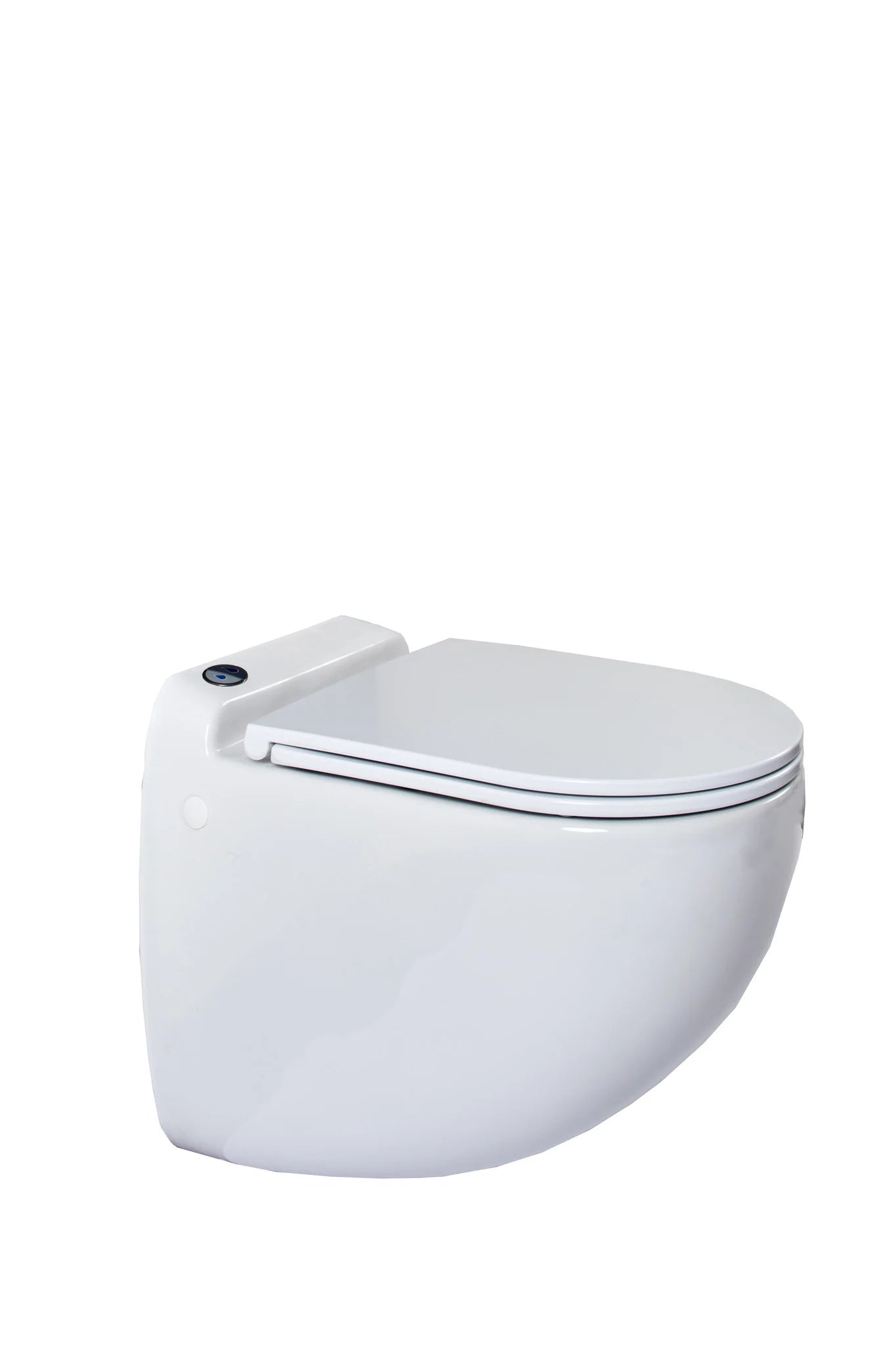 Sani-Wand Plus macerating toilet